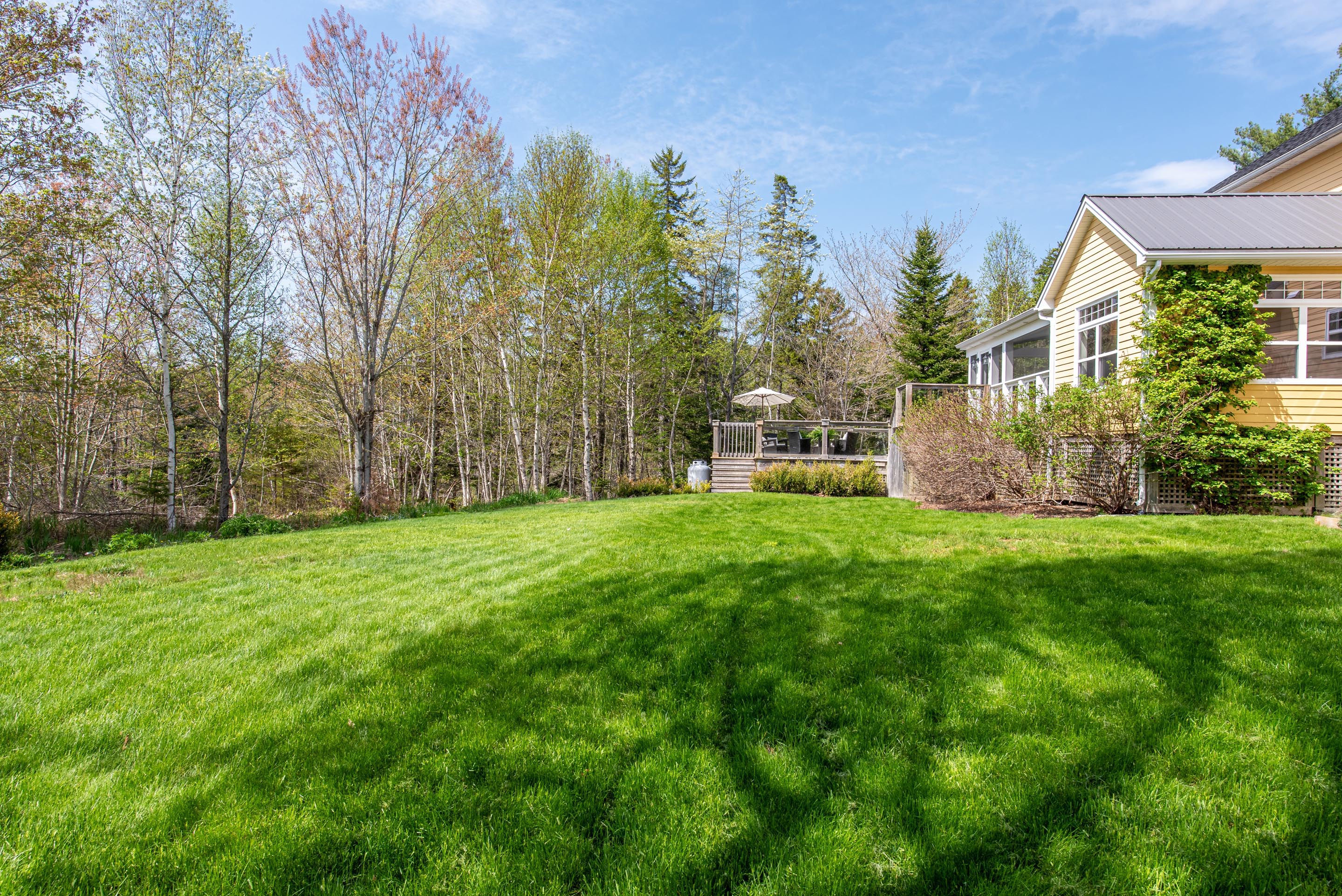 298 Saint Andrews Dr